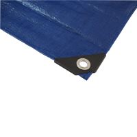 TOPTRADE plachta krycia, modro-zelená, s kovovými okami, 5 x 8 m, profi (1)